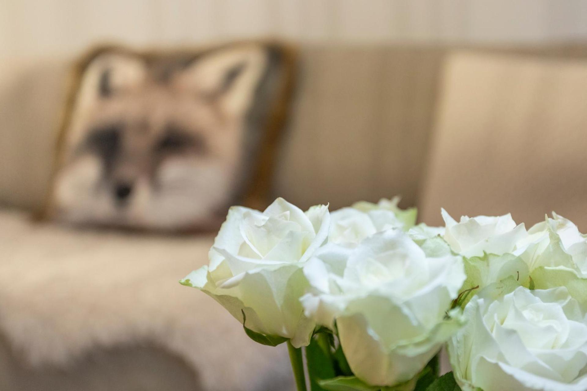 Vasko Luxurious Suites, Luppo Rovaniemi Kültér fotó